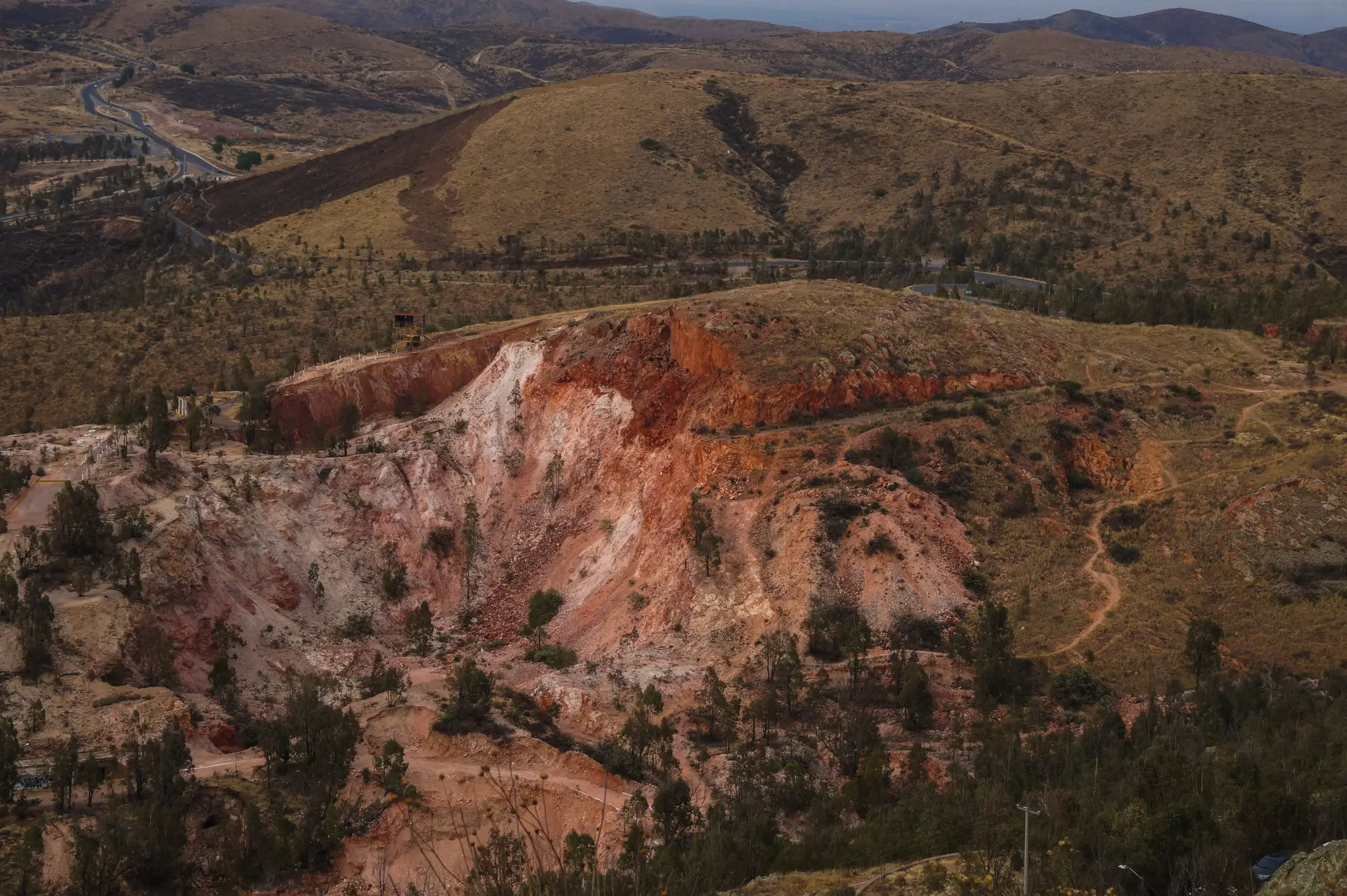 A hillside cut open to white and red altered rock, with scrub and pines around it